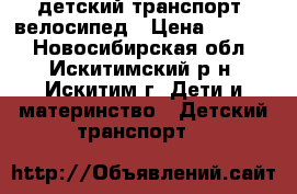 детский транспорт, велосипед › Цена ­ 2 500 - Новосибирская обл., Искитимский р-н, Искитим г. Дети и материнство » Детский транспорт   